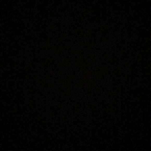 Meet your Posher, Peyton - Picture 1 of 1